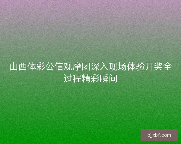 山西体彩公信观摩团深入现场体验开奖全过程精彩瞬间